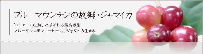 ブルーマウンテンの故郷・ジャマイカ 「コーヒーの王様」と呼ばれる最高級品ブルーマウンテンコーヒーは、ジャマイカ生まれ